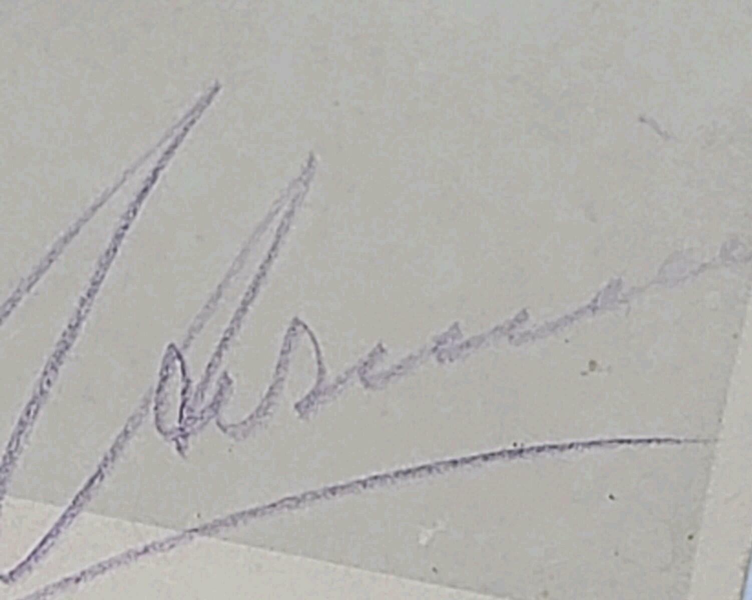Empress Hermine Signed Royal Presentation Photo German Royalty Kaiser Wilhelm II - Image 9