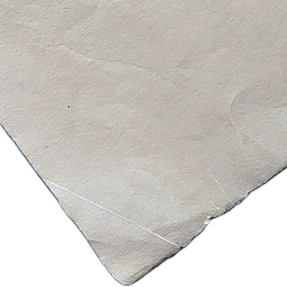 Otto Von Bismarck Signed Handwritten Historical Manuscript Letter Personal Taxes - Image 14